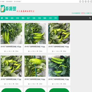 百蔬图（农科百蔬网）|免费蔬菜高清图片分享网站