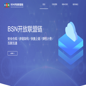 BSN 开放联盟链