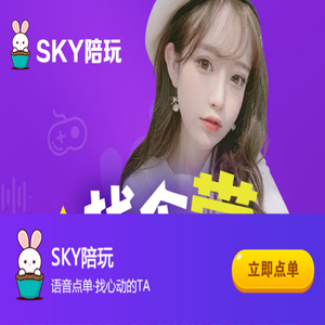 Sky陪玩网页版_Sky游戏陪玩平台