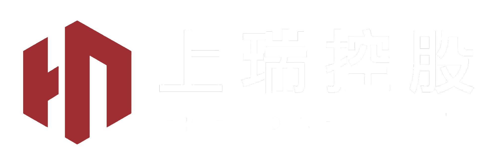 上瑞控股-金融服务集团